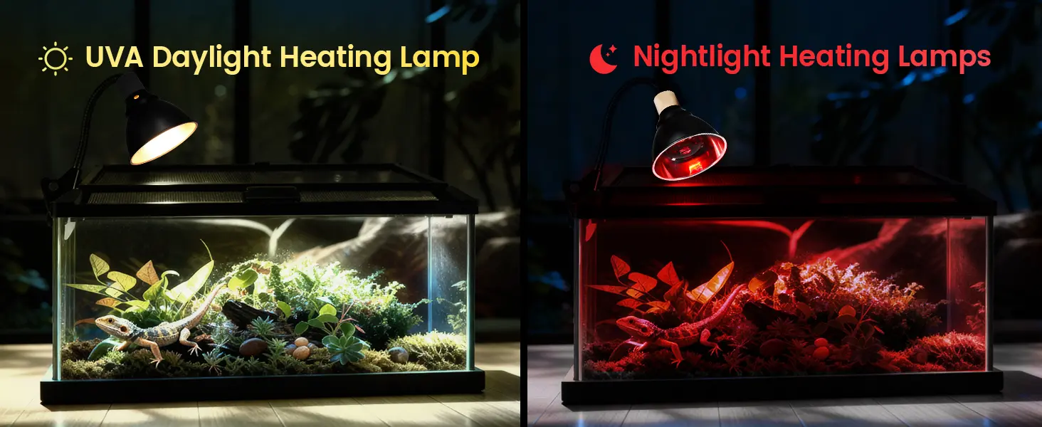 UVA Daylight Heating Lamp vs Nightlight Heating Lamps for reptile terrariums with plants and lizards