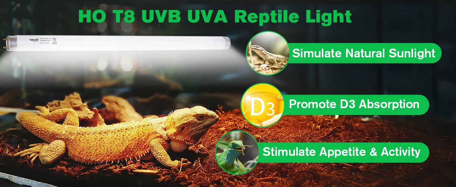 HO T8 UVB UVA Reptile Light for bearded dragons, simulate natural sunlight, promote D3 absorption, stimulate appetite & activ