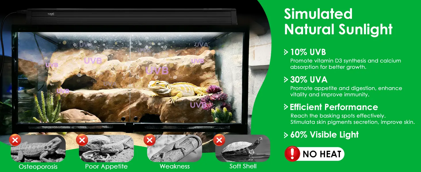 Hygger aquarium with simulated natural sunlight for bearded dragons, showing UVB/UVA benefits and preventing health issues li