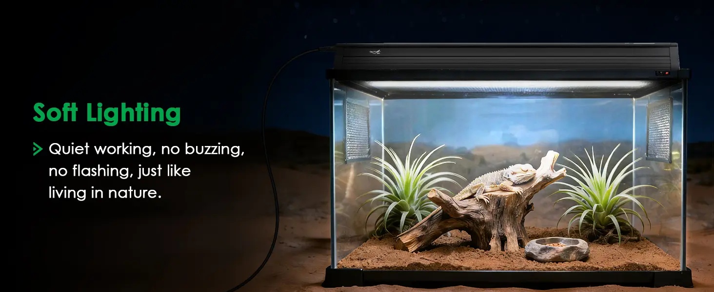 Hygger aquarium with soft lighting, lizard on branch, desert plants, and natural habitat setup.