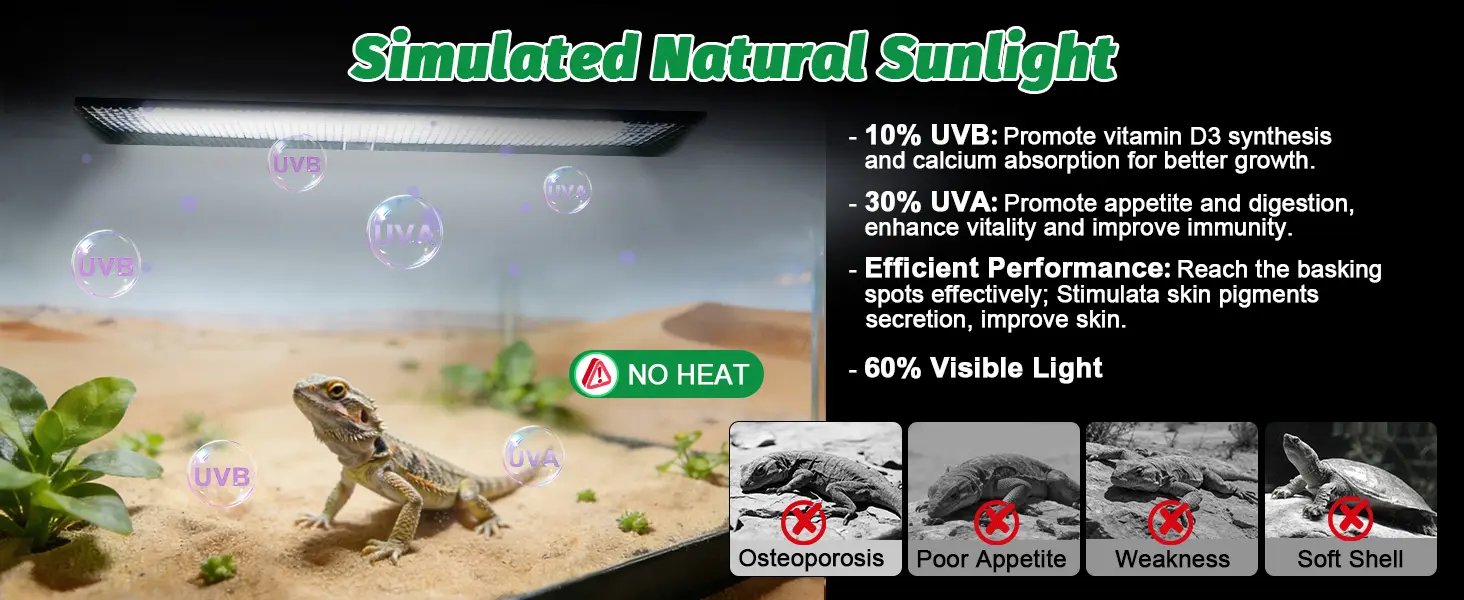 Simulated natural sunlight for reptiles with UVB, UVA, and visible light to promote health and prevent issues like osteoporos