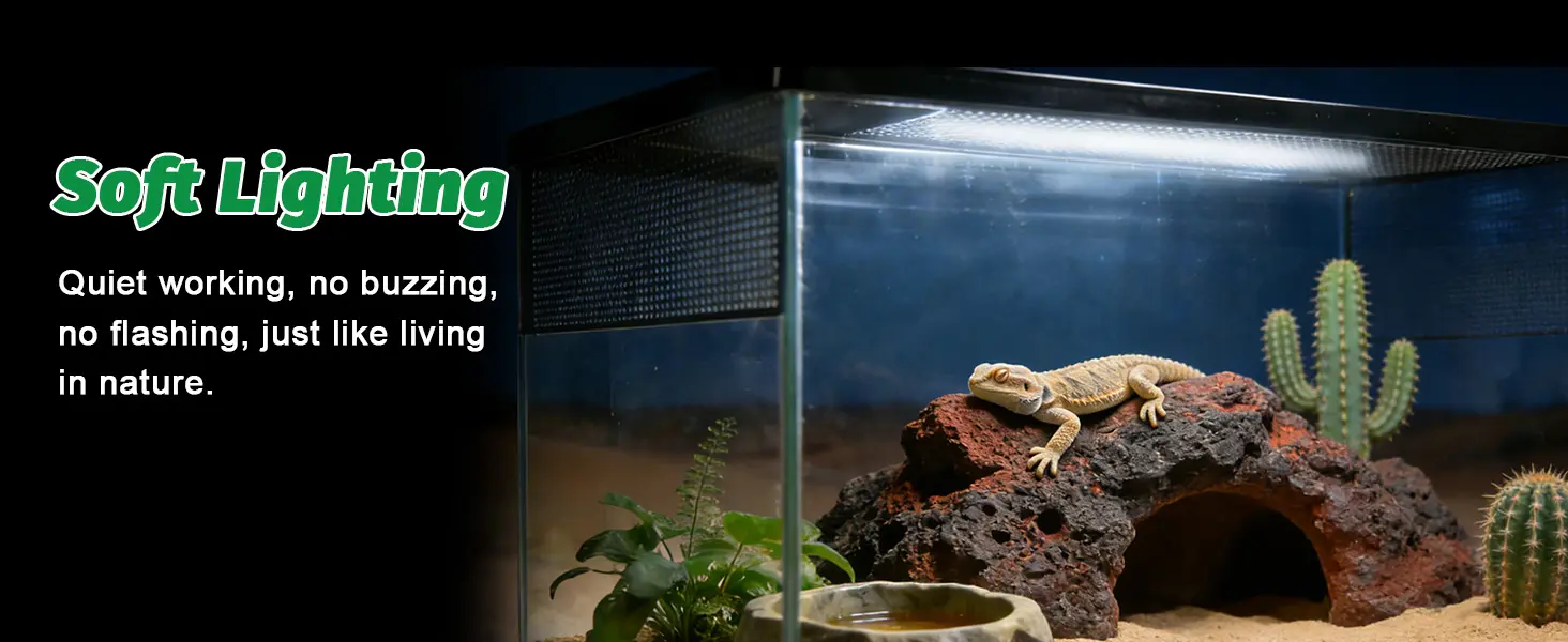 Hygger aquarium with bearded dragon, soft lighting, cacti, and natural habitat setup