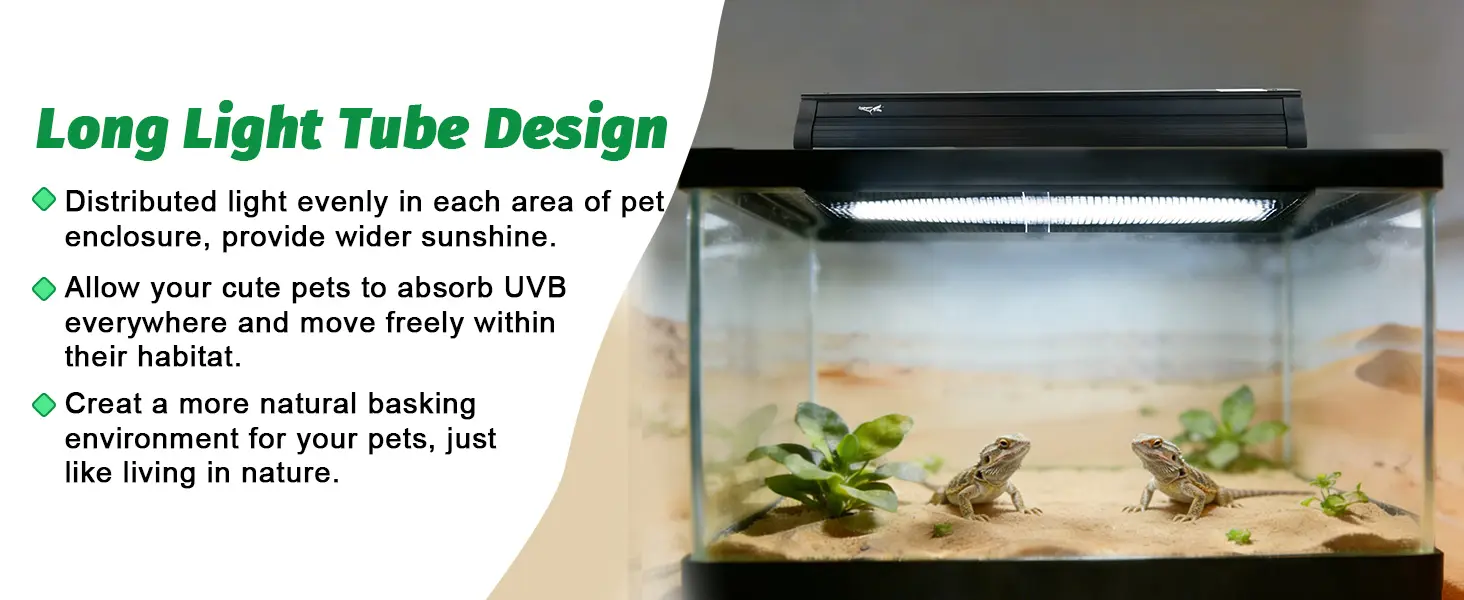 Long Light Tube Design for Pet Enclosure with Bearded Dragons Basking Under UVB Lighting