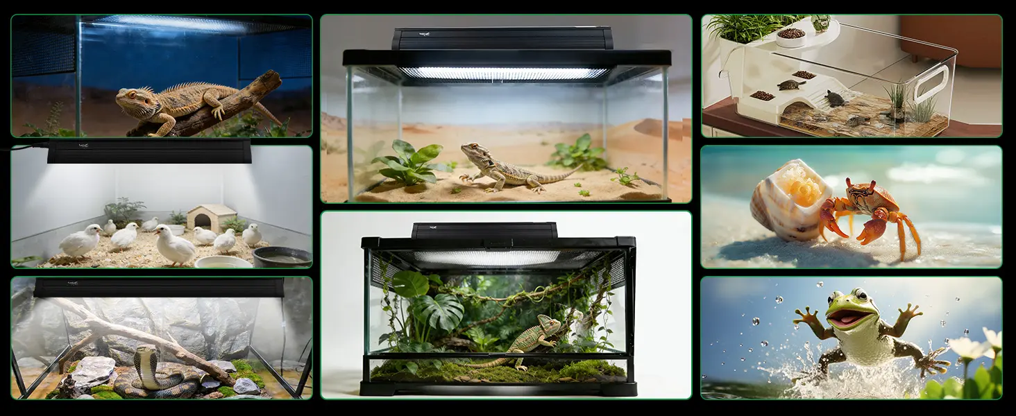 Hygger aquariums showcase diverse reptile and amphibian habitats with LED lighting, plants, and accessories for pet care.