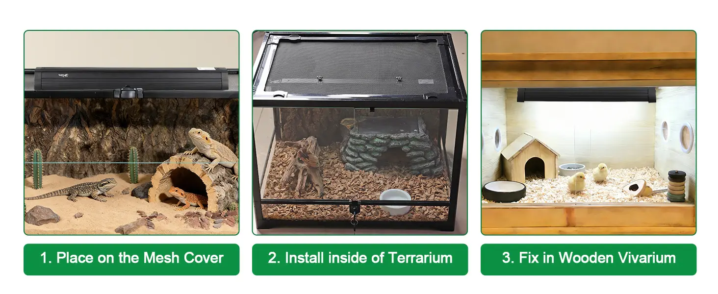 Three pet enclosures: mesh cover with lizards, terrarium with reptiles, and wooden vivarium with chicks, labeled 1, 2, 3.