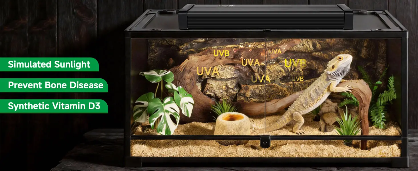 Hygger aquarium with bearded dragon, UVB/UVA lighting, plants, and sand substrate for reptile habitat
