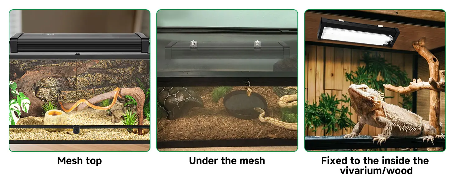Three hygger aquarium setups: mesh top with snake, under mesh with snake, and fixed light inside vivarium with bearded dragon