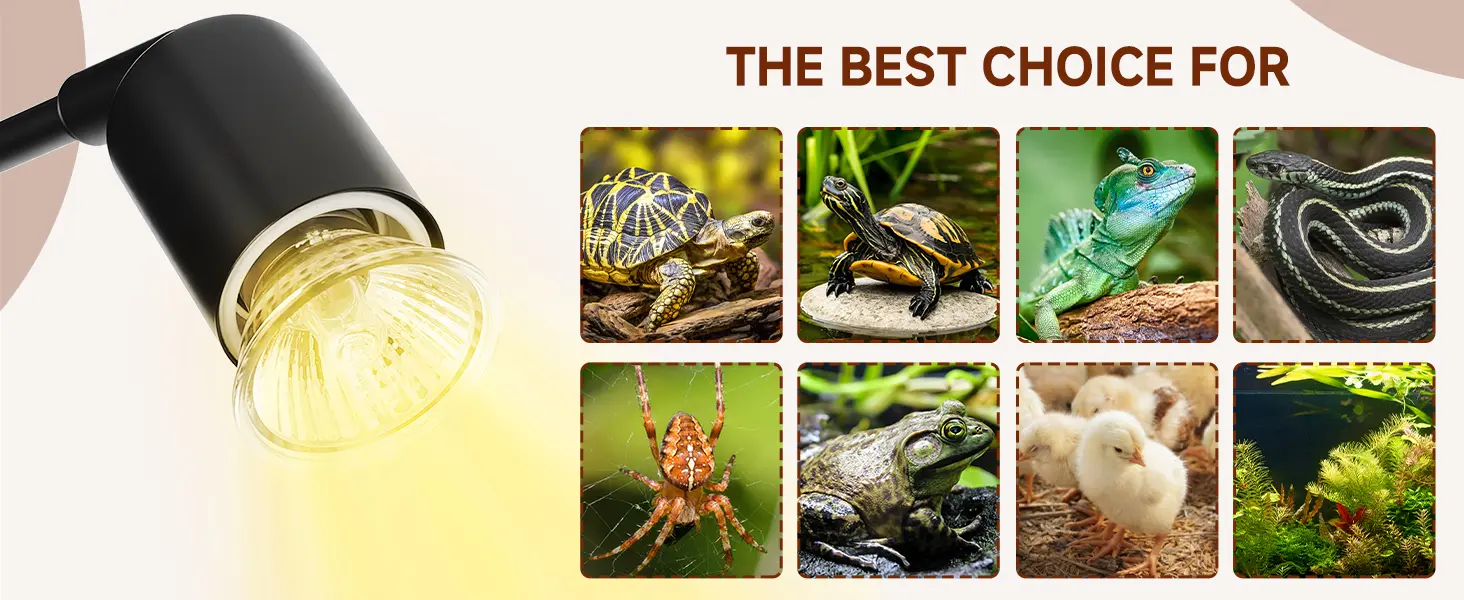 LED aquarium light for reptiles and amphibians, featuring turtles, lizards, snakes, frogs, spiders, and chicks.
