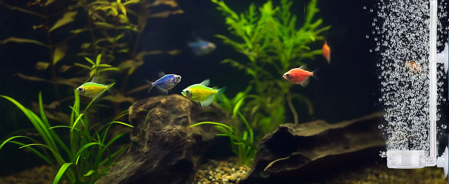 Hygger HC045 aquarium CO₂ diffuser in use, releasing fine bubbles in a planted fish tank with healthy aquatic plants and colorful fish, showing efficient CO₂ distribution for lush growth.