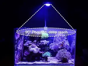 Hygger HG265 reef aquarium light with 90° focused lens, showing deep light penetration and coverage for saltwater tanks