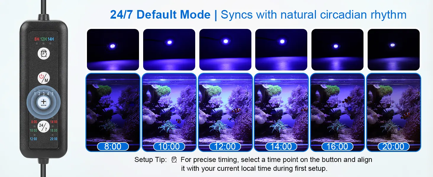 Hygger HG265 aquarium light 24/7 default mode demonstration, showing circadian rhythm lighting cycle from dawn to dusk for saltwater reef tanks