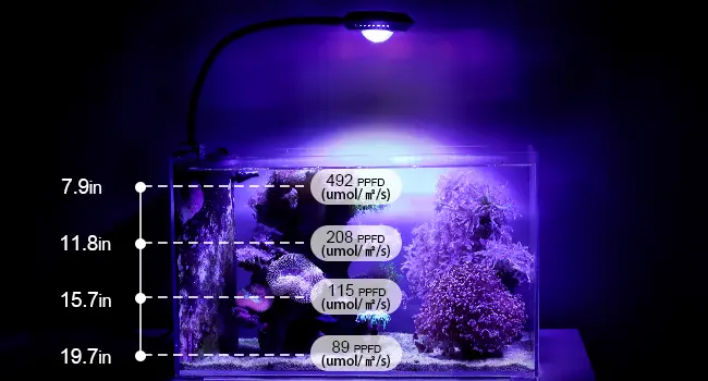 Hygger HG265 saltwater aquarium light PAR (PPFD) test chart, showing light intensity values at different tank depths for coral reef tanks
