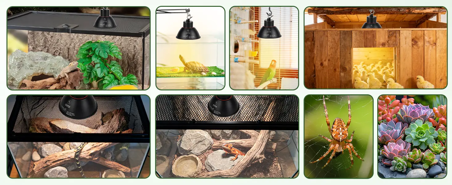 Collage showing the versatile use of the Hygger HZ056 reptile heat lamp across terrariums for lizards, turtles, snakes, birds, chicks, spiders, and succulent plants, highlighting its suitability for multiple pet habitats.