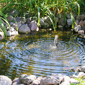 small ponds