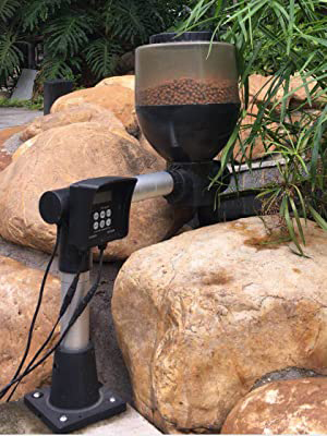 outdoor pond fish feeder