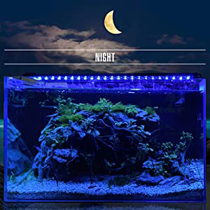 hygger Advanced LED Aquarium Light with Timer, 24/7 Lighting Cycle & DIY  Mode, for Planted Tank - Hygger Wholesale